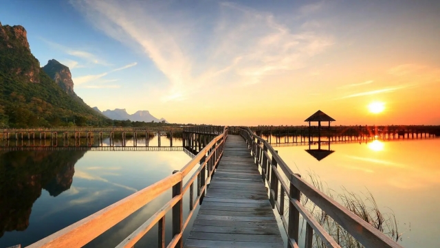 �����ʦ������